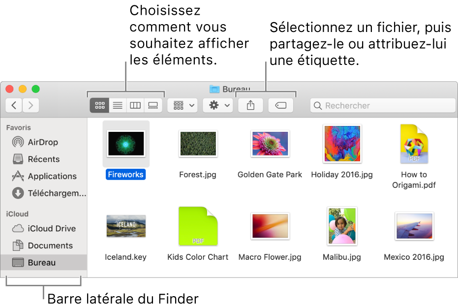 Une fenêtre du Finder avec la barre latérale du Finder à gauche. Dans le coin supérieur gauche de la fenêtre se trouvent quatre boutons sur lesquels vous pouvez cliquer pour changer l’affichage des éléments de la fenêtre du Finder. À droite, se trouvent deux boutons sur lesquels vous pouvez cliquer pour partager ou marquer les fichiers sélectionnés.