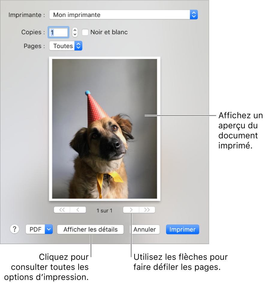 Les icônes du menu contextuel Imprimante indiquent l’état de l’imprimante. La zone de dialogue Imprimer affiche un petit aperçu du document à imprimer. Cliquez sur le bouton Afficher les détails pour afficher toutes les options d’impression.