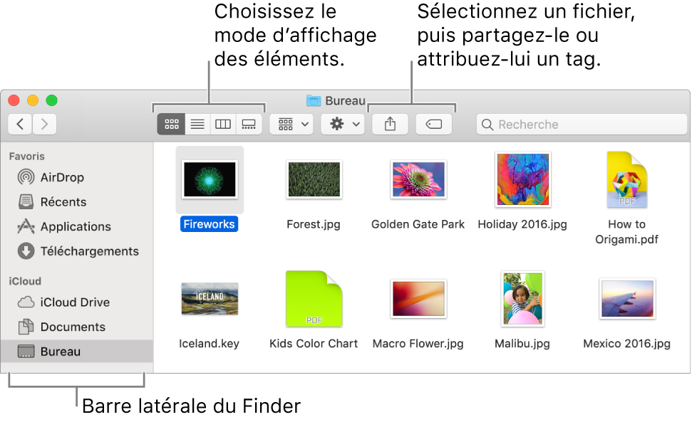 Une fenêtre du Finder avec la barre latérale du Finder sur la gauche. En haut à gauche de la fenêtre se trouvent quatre boutons, qui permettent de modifier l’affichage des éléments dans la fenêtre du Finder. Sur la droite se trouvent deux boutons permettant de partager les fichiers sélectionnés ou de leur associer un tag.
