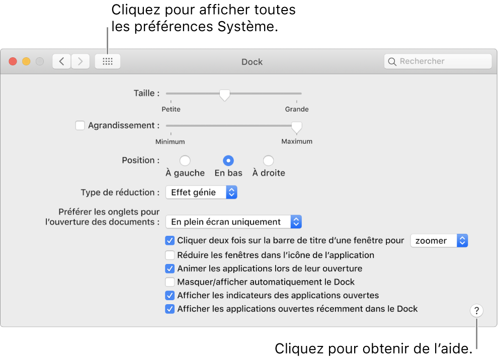 Cliquez sur Tout afficher pour afficher toutes les icônes de préférences. Cliquez sur le bouton Aide pour obtenir plus d’informations sur la sous-fenêtre.