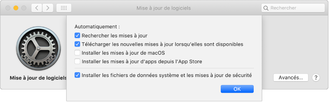 Options avancées des préférences Mises à jour de logiciels.