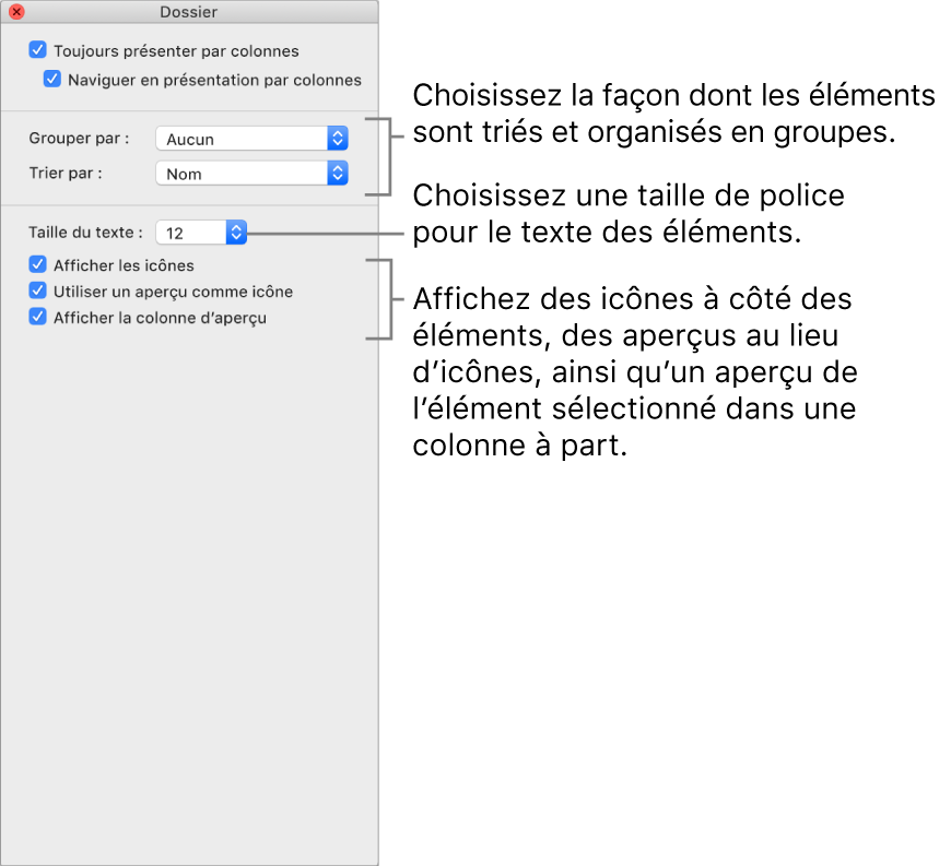 Options de la présentation par colonnes : Vous pouvez choisir le mode d’organisation et de tri des groupes, choisir une taille de police pour les étiquettes d’éléments, afficher des icônes avec des éléments, afficher des informations d’aperçu dans les icônes et afficher un aperçu des éléments sélectionnés dans une colonne distincte.