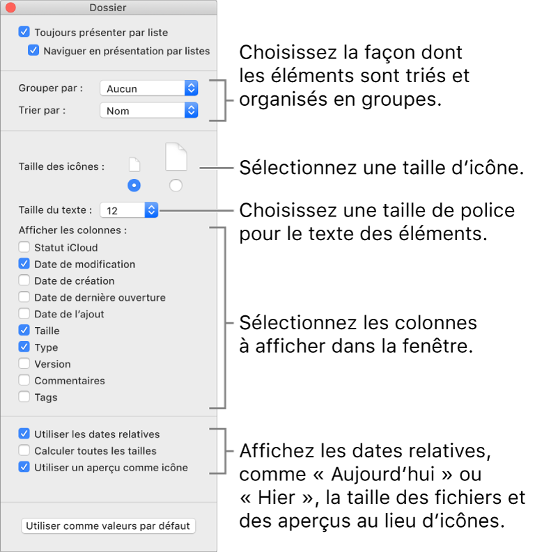 Options de la présentation par liste : Vous pouvez choisir le mode d’organisation et de tri des groupes, définir la taille des icônes, choisir une taille de police pour les étiquettes d’éléments, choisir les colonnes qui apparaissent dans la fenêtre et afficher des dates relatives, telles que « Aujourd’hui » ou « Hier », des tailles de fichiers et des images d’aperçu dans les icônes.