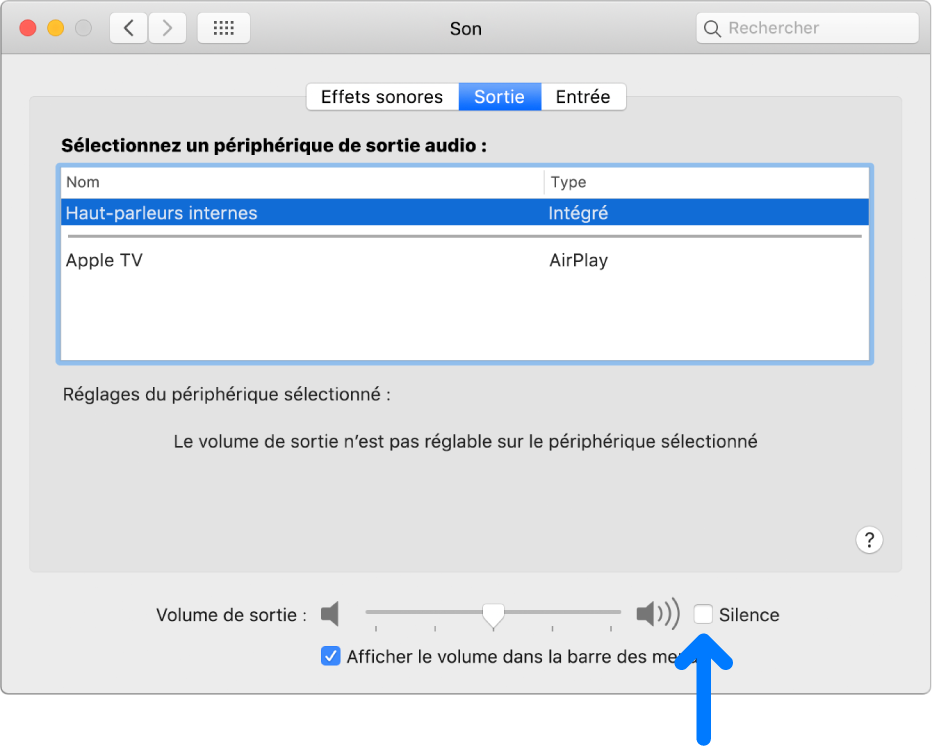 La case Silence en bas de la sous-fenêtre de préférences Son.
