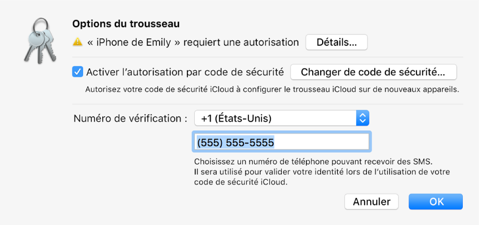 La zone de dialogue Options de Trousseau iCloud avec le nom de l’appareil demandant l’approbation et le bouton Détails à côté.