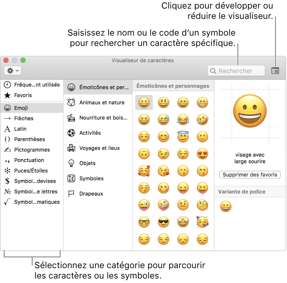 La fenêtre Visualiseur de caractères. Sélectionnez une catégorie à gauche pour parcourir les caractères ou les symboles. Dans le champ de recherche, saisissez un nom ou un code de symbole pour trouver un caractère spécifique. Cliquez dans le coin supérieur droit pour développer ou condenser le visualiseur.