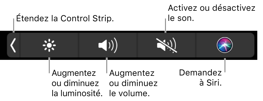 La Control Strip condensée comprend des boutons de gauche à droite, pour développer la Control Strip, augmenter ou baisser la luminosité de l’écran ou le volume, couper ou rétablir le son et demander des choses à Siri.