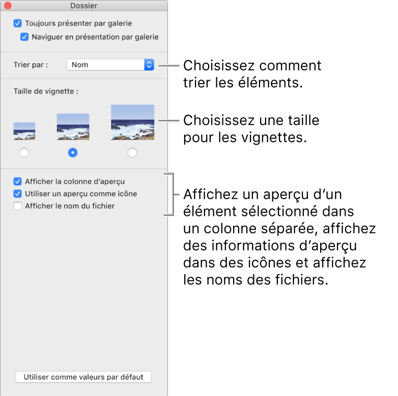 Options de la présentation par galerie : Vous pouvez choisir le mode de tri des éléments, choisir la taille des vignettes, afficher un aperçu de l’élément sélectionné dans une colonne distincte, afficher des informations d’aperçu dans les icônes et afficher le nom du fichier.
