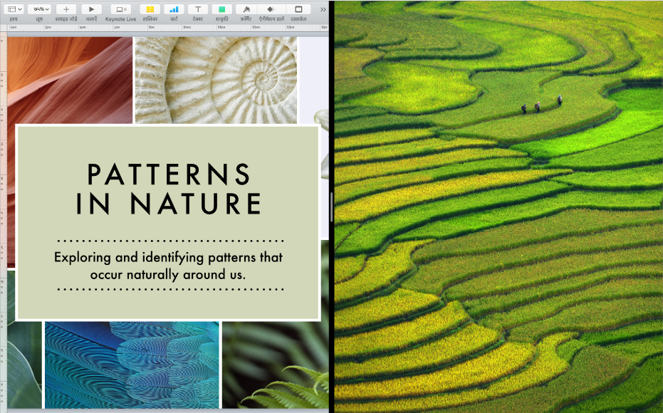 Split View में दो ऐप्स अगल-बगल।