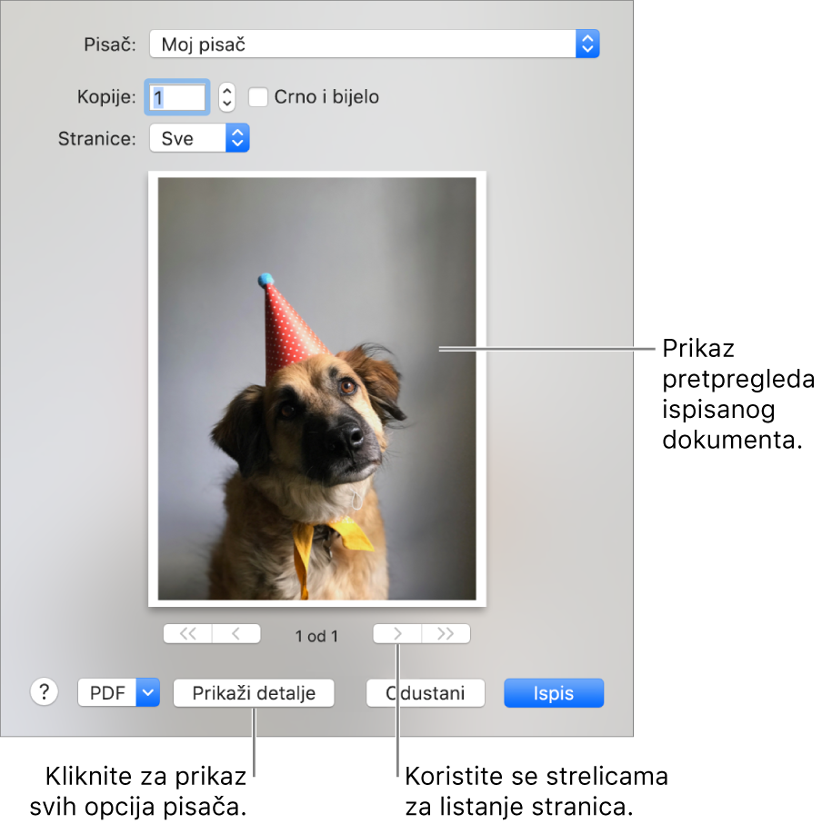Ikone u skočnom izborniku Pisač pokazuju status pisača. Dijaloški okvir Ispis prikazuje mali pregled vašeg zadatka ispisa. Kliknite tipku Prikaži detalje da biste vidjeli sve opcije ispisa.