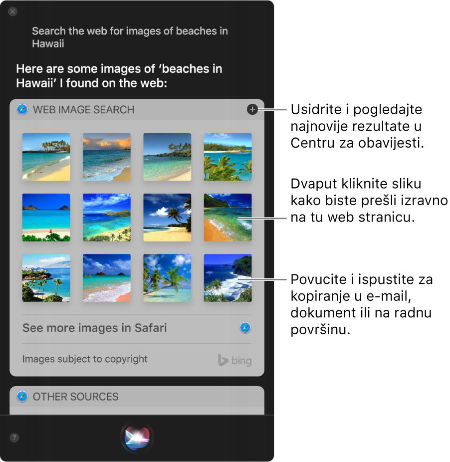 Prozor Siri s prikazom rezultata od Siri na zahtjev “Search the web for images of beaches in Hawaii”. Možete pričvrstiti rezultate pribadačom u Centru za obavijesti, dvaput kliknuti na sliku za otvaranje web stranice koja sadrži sliku ili povući sliku u e-mail ili dokument ili na radnu površinu.