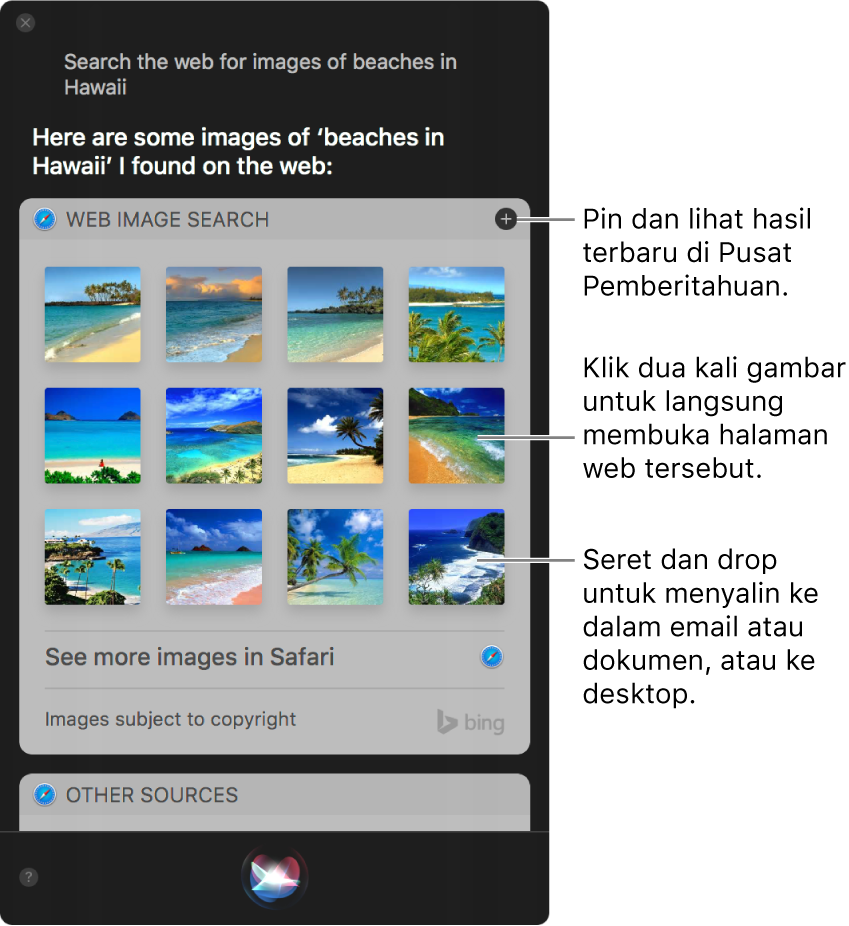 Jendela Siri menampilkan hasil Siri untuk permintaan “Search the web for images of beaches in Hawaii.” Anda dapat mengepin hasil ke Pusat Pemberitahuan, mengeklik dua kali gambar untuk membuka halaman web yang berisi gambar, atau menyeret gambar ke dalam email atau dokumen atau ke desktop.