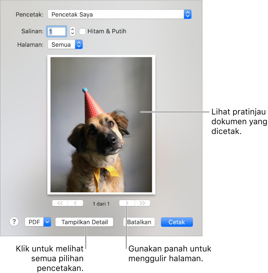 Ikon di menu pop-up Pencetak menunjukkan status pencetak. Dialog Cetak menunjukkan pratinjau kecil pekerjaan mencetak. Klik tombol Tampilkan Detail untuk melihat semua pilihan cetak.