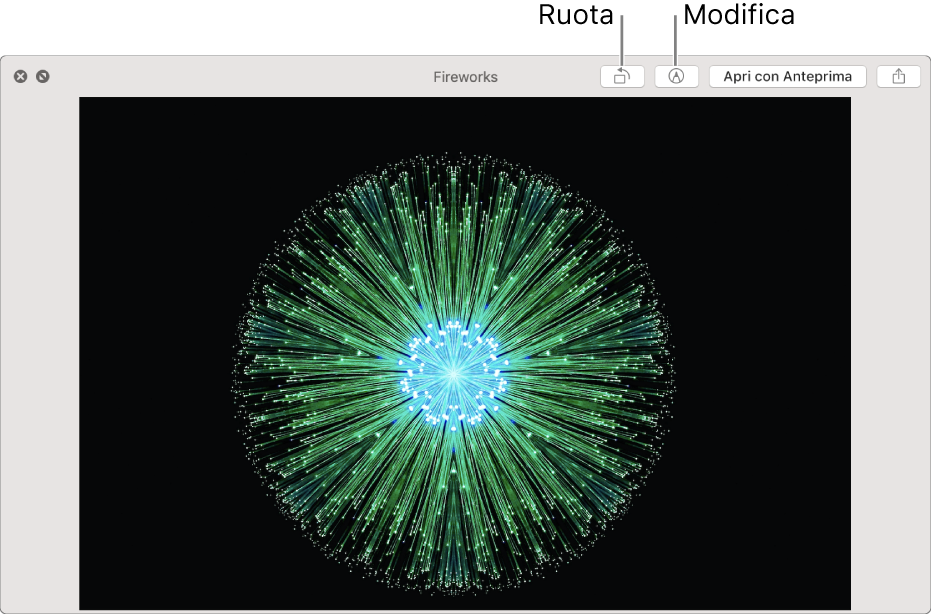 Immagine nella finestra di Visualizzazione rapida con pulsanti per ruotare o modificare l'immagine, aprirla nell'app Anteprima o condividerla.