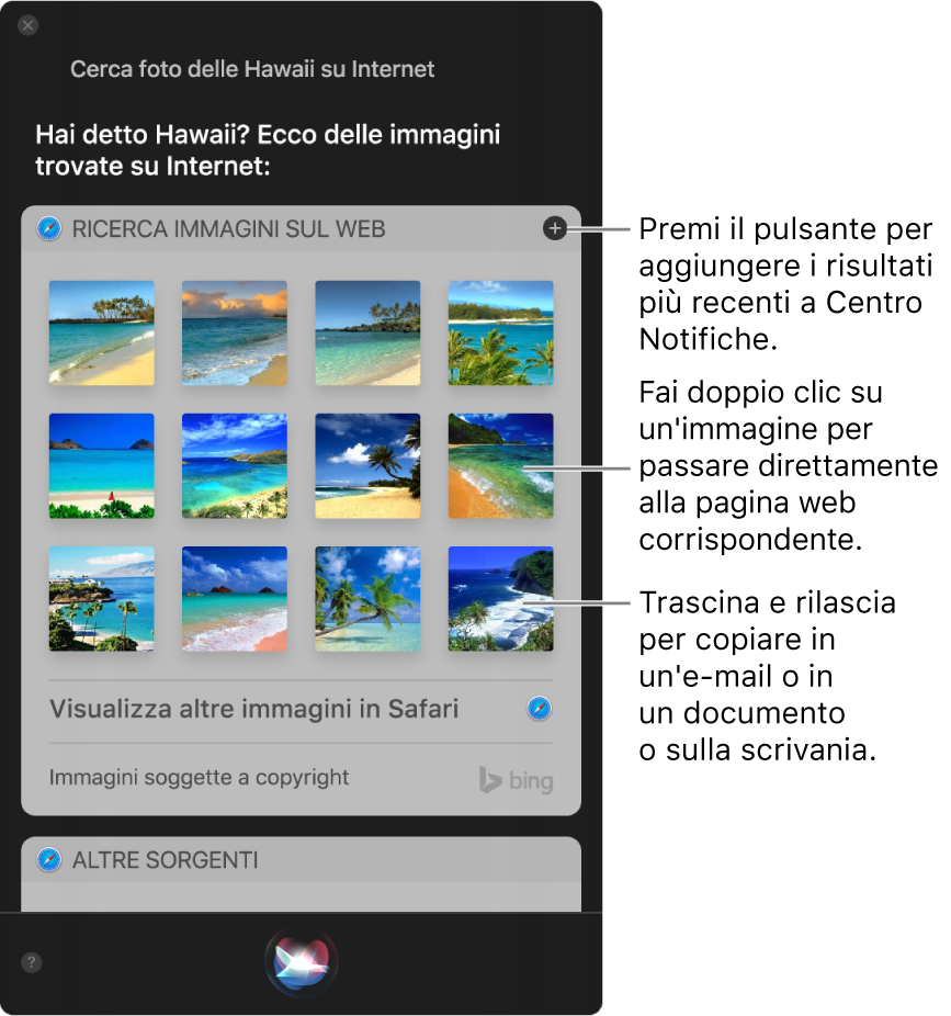 Finestra di Siri che mostra i risultati di Siri per la richiesta “Cerca nel web immagini di spiagge alle Hawaii”. Puoi ancorare i risultati al Centro Notifiche, fare doppio clic su un’immagine per aprire la pagina web in cui è contenuta o trascinare un’immagine su un'e-mail, su un documento o sulla scrivania.