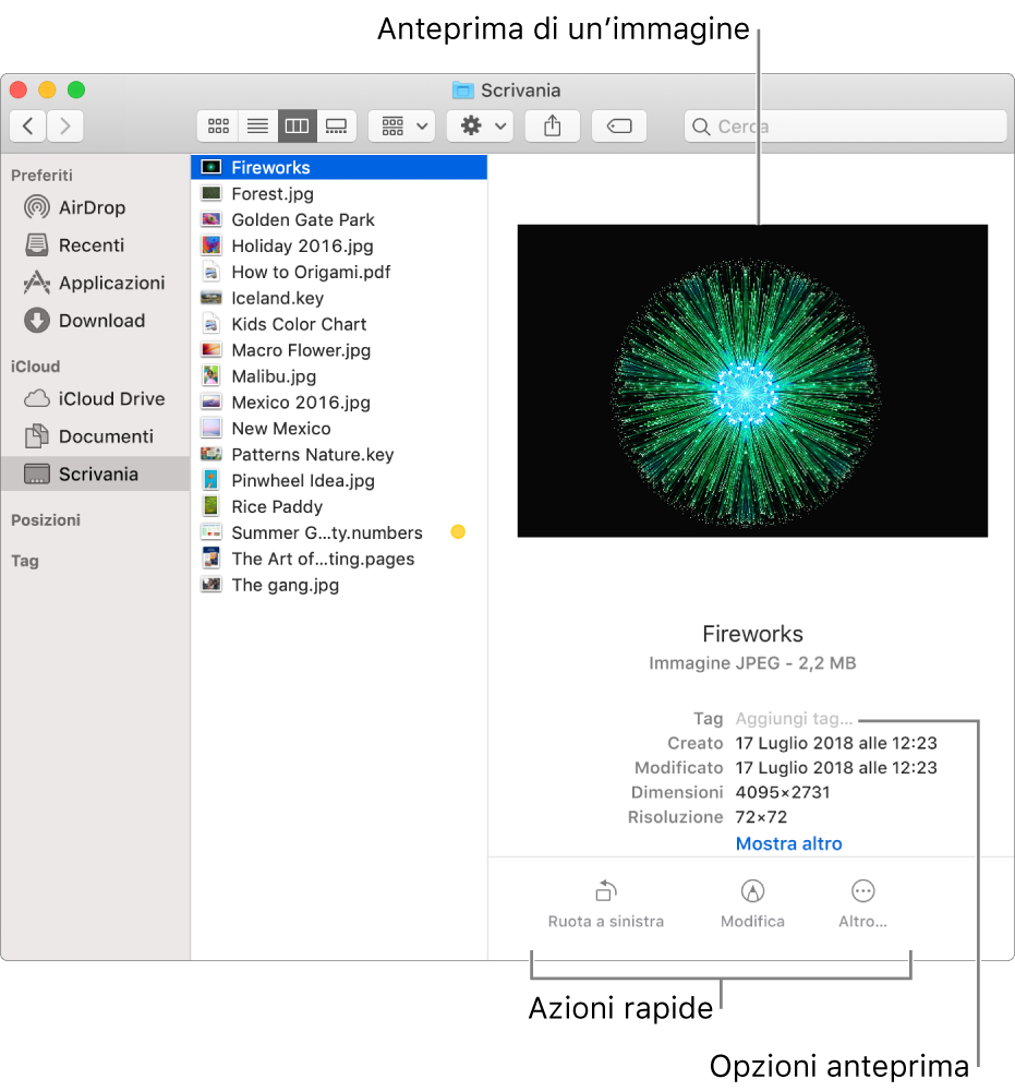 Finestra del Finder con la barra laterale del Finder a sinistra e un'immagine selezionata nella parte centrale della finestra. A destra, il pannello Anteprima mostra l'immagine nella parte superiore, al di sotto i dettagli relativi all'immagine e i pulsanti “Azioni rapide” nella parte inferiore.