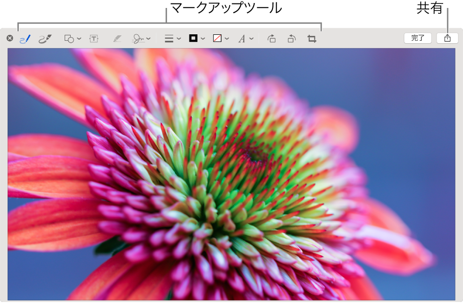 「マークアップ」ウインドウのイメージ。マークアップツールのツールバー、および右上部の「完了」ボタンの横に「共有」ボタンが表示されています。
