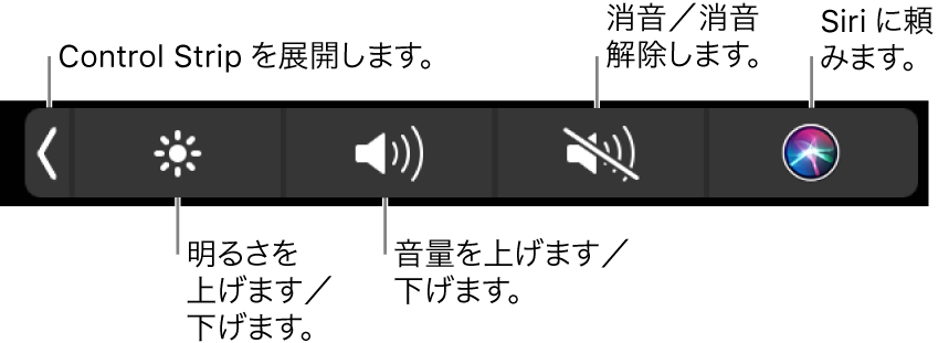 折りたたまれた Control Strip には、左から右へ順に、Control Strip を展開するボタン、ディスプレイの輝度および音量を調整するボタン、消音にしたり消音を解除したりするボタン、および Siri に質問するボタンが含まれています。