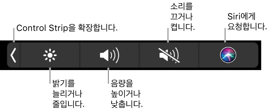 왼쪽에서 오른쪽으로 Control Strip을 확장하거나, 디스플레이 밝기 및 음량을 늘리고 줄이거나, 소리를 켜고 끄거나, Siri에게 요청할 수 있는 버튼이 있는 축소된 Control Strip.