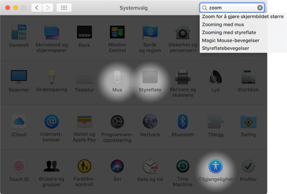 Vinduet Systemvalg som viser «zoom» i søkefeltet, en liste over søkeresultater under søkefeltet, og tre valgpanel-symboler som er markert.