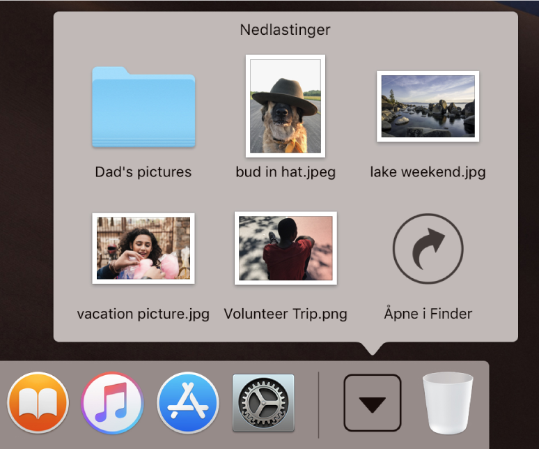 Nedlastinger-stabelen i Dock er åpen, og innholdet vises i et rutenett.