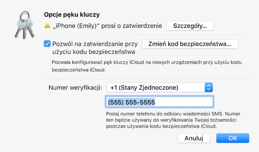 Okno opcji pęku kluczy iCloud z nazwą urządzenia proszącego o dostęp oraz widocznym obok przyciskiem Szczegóły.