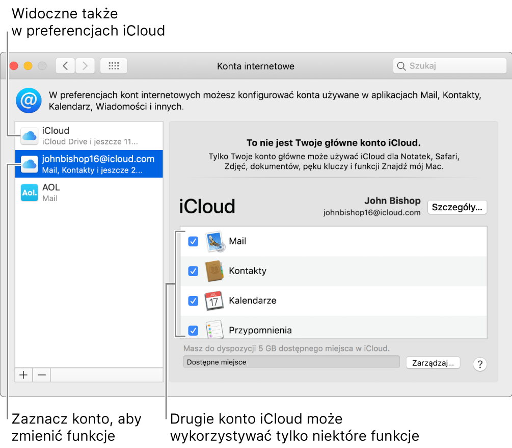Panel preferencji kont internetowych, wyświetlający dwa konta iCloud. Na liście po lewej zaznaczone jest drugie konto iCloud. Widać, że dostępne są na nim tylko niektóre funkcje.