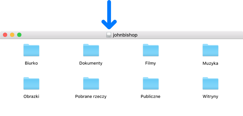 Mała ikona na pasku tytułowym okna obrazu dysku z usuniętego folderu domowego użytkownika.