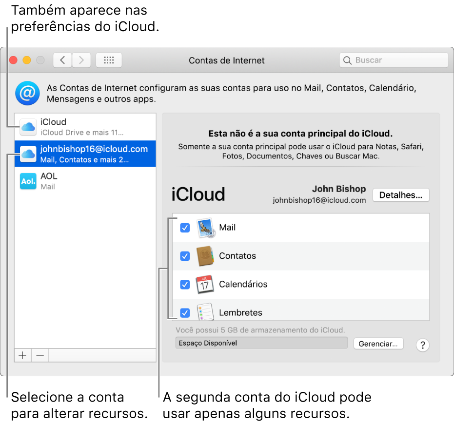 Preferências Contas de Internet mostrando duas contas do iCloud. A segunda conta, selecionada na lista à esquerda, mostra que ela tem apenas alguns recursos disponíveis.
