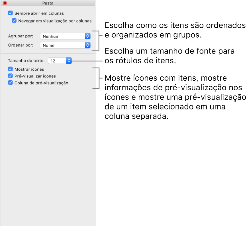 Opções da visualização por Coluna: Você pode escolher como os itens são organizados em grupos e ordenados, escolher o tamanho da fonte das etiquetas dos itens, mostrar ícones com itens, pré-visualizar informações em ícones e pré-visualizar itens selecionados em uma coluna separada.