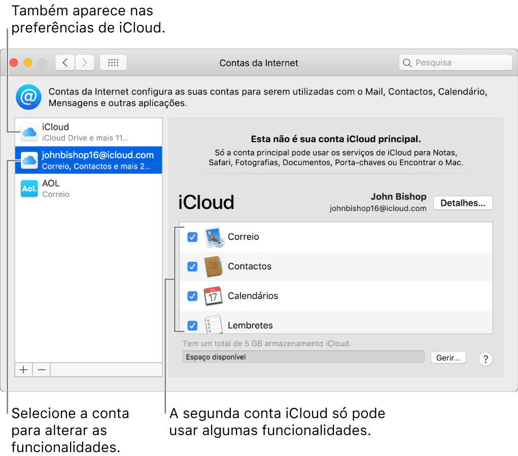 O painel de preferências de Contas da Internet a mostrar duas contas iCloud. A segunda conta, selecionada na lista à esquerda, mostra que apenas algumas funcionalidades estão disponíveis.