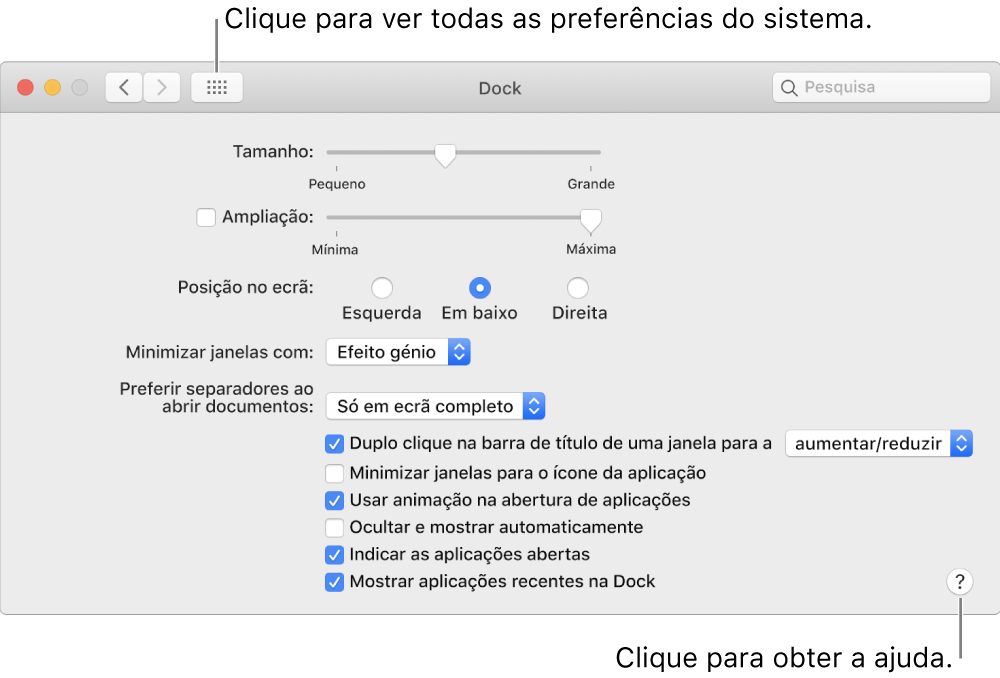 Clique em “Mostrar tudo” para ver todos os ícones de preferências. Clique no botão Ajuda para obter mais informações sobre o painel.