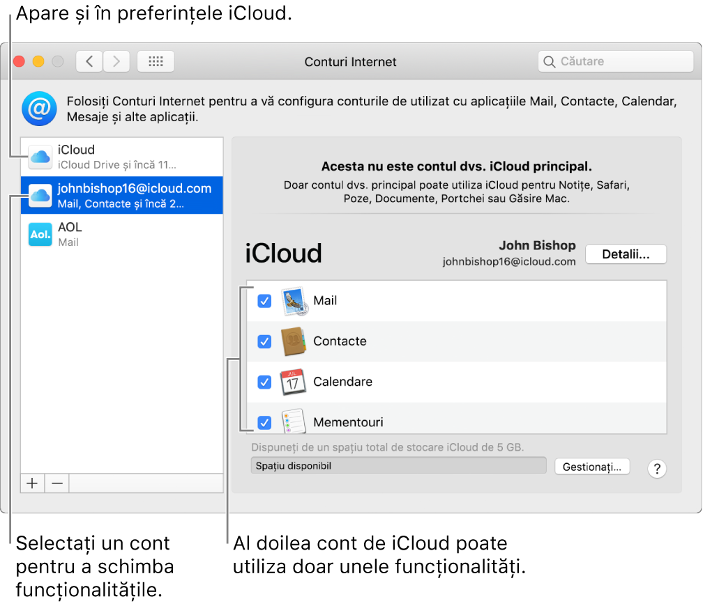 Preferințele Conturi internet afișând două conturi iCloud. Cel de al doilea cont, selectat în lista din stânga, arată că are doar câteva funcționalități disponibile.