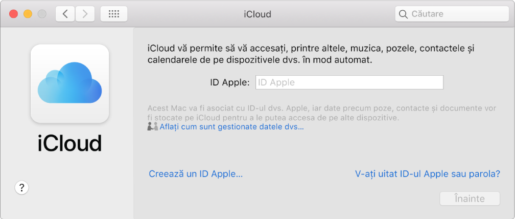 Preferințe iCloud, sistem pregătit pentru introducerea unui nume și a unei parole pentru ID-ul Apple.