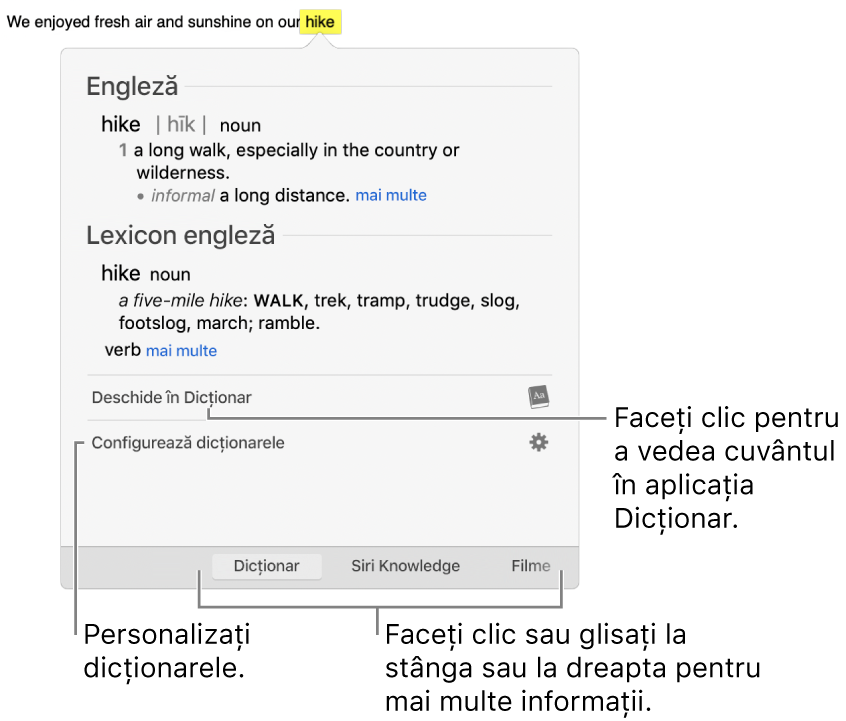 Fereastra de căutare afișând definițiile unui cuvânt din Dicționar și Lexicon.