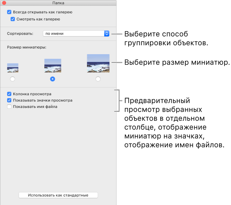 Параметры вида галереи. Вы можете выбрать способ сортировки объектов, выбрать размер миниатюр, включить предварительный просмотр выбранного объекта в отдельном столбце, отобразить информацию предварительного просмотра в значках и показать имя файла.
