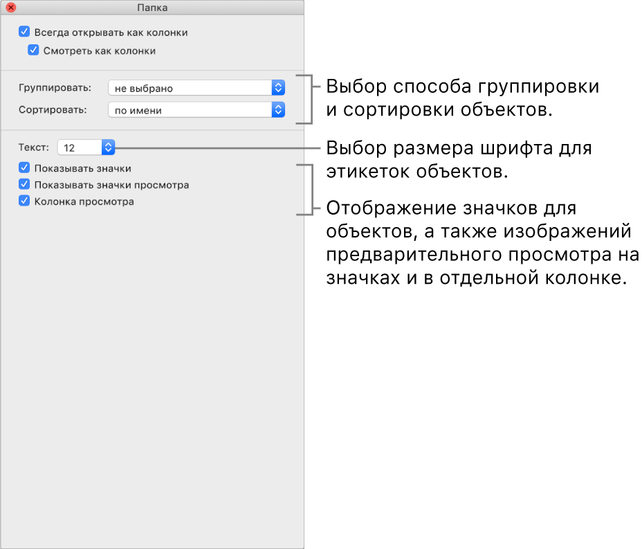Параметры вида колонок. Вы можете выбрать способ группировки и сортировки объектов, выбрать размер шрифта для этикеток, показать значки с объектами, отобразить информацию предварительного просмотра в значках и включить предварительный просмотр выбранных объектов в отдельном столбце.