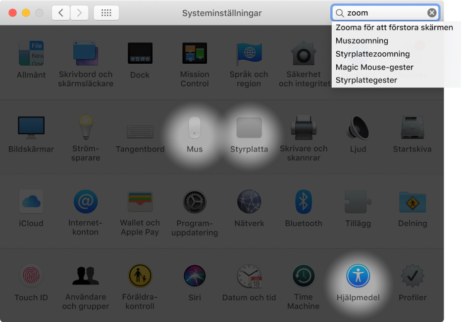 Systeminställningsfönstret med ”zoom” i sökfältet, en lista med matchande sökträffar nedanför sökfältet och tre markerade inställningssymboler.