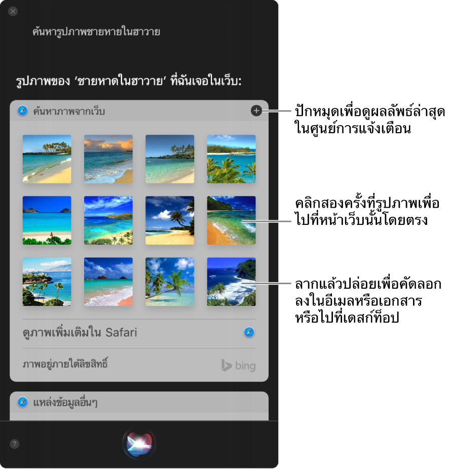 หน้าต่าง Siri ที่แสดงผลการค้นหาของ Siri ของคำขอ “หารูปชายหาดพัทยาในเว็บ” คุณสามารถปักหมุดผลการค้นหาไปที่ศูนย์การแจ้งเตือน คลิกสองครั้งที่ภาพเพื่อเปิดหน้าเว็บที่มีภาพ หรือลากภาพไปที่เดสก์ท็อปได้