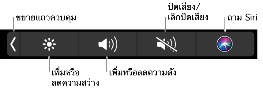Control Strip ที่ยุบอยู่จะมีปุ่มต่างๆ เรียงจากซ้ายไปขวาดังนี้ ปุ่มสำหรับขยาย Control Strip ปุ่มสำหรับเพิ่มหรือลดความสว่างจอภาพและความดัง ปุ่มสำหรับปิดเสียงหรือเลิกปิดเสียง และปุ่มถาม Siri
