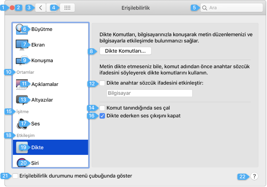 Etkileşim kurabileceğiniz her kullanıcı arabirimi öğesinin yanında bir numara gösteren tercih bölümü.