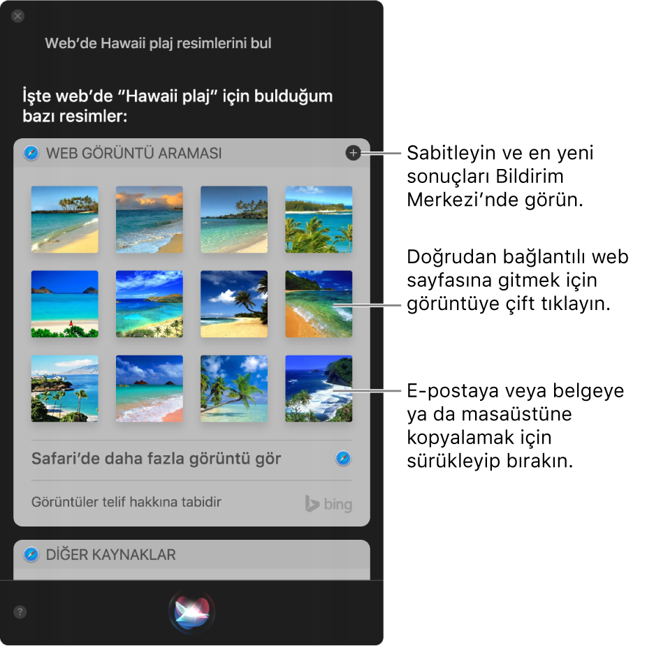 “Web’de Hawaii’deki kumsalların resimlerini ara” isteğine gelen Siri sonuçlarını gösteren Siri penceresi. Sonuçları Bildirim Merkezi’ne iğneleyebilir, bir görüntüyü çift tıklayarak onu içeren web sayfasını açabilir ya da görüntüyü bir e-postaya veya belgeye ya da masaüstüne sürükleyebilirsiniz.