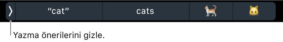 Sözcükleri ve emojileri gösteren yazma önerileri ve sol tarafta yazma önerilerini gizleme düğmesi.