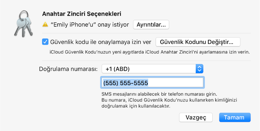 Onay isteyen aygıtın adı ve yanında Ayrıntılar düğmesi ile iCloud Anahtar Zinciri Seçenekleri sorgu kutusu.