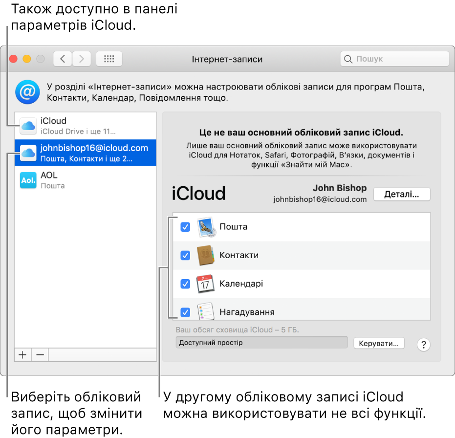 Параметри інтернет-записів, у яких відображаються два обілкові записи iCloud. У другому обліковому записі, вибраному у списку ліворуч, показано, що він має лише деякі функції.
