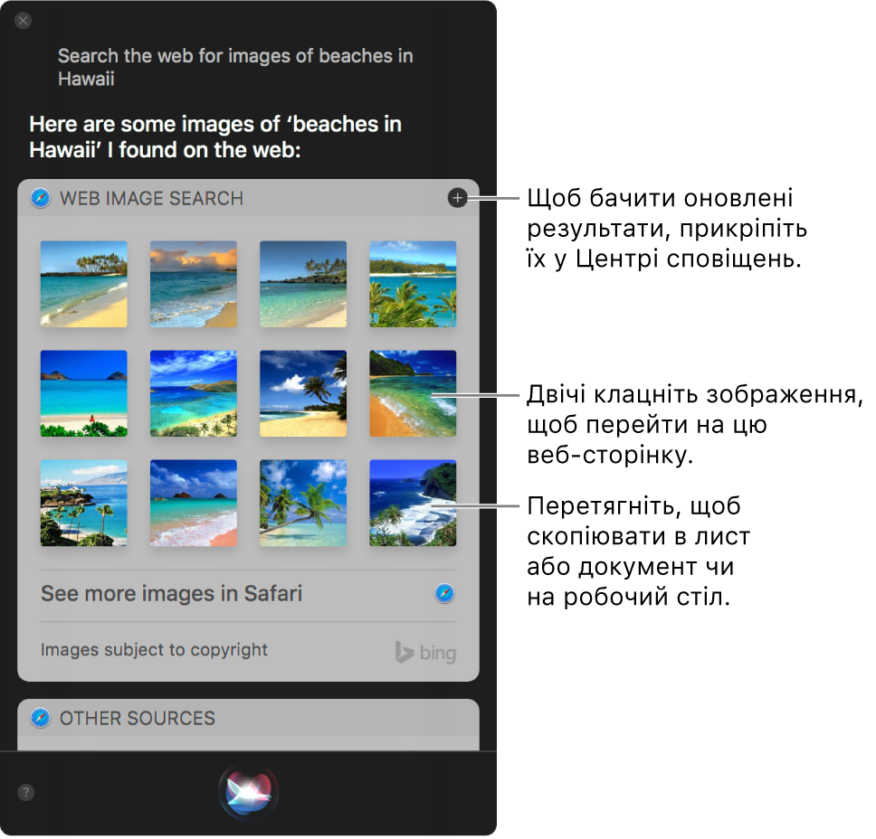 Вікно Siri з результатами Siri за запитом «Шукати в мережі зображення гавайських пляжів». Ви можете закріпити результати в Центрі сповіщень, двічі клацнути зображення, щоб відкрити веб-сторінку із зображенням, або перетягнути зображення в електронний лист чи документ чи на робочий стіл.