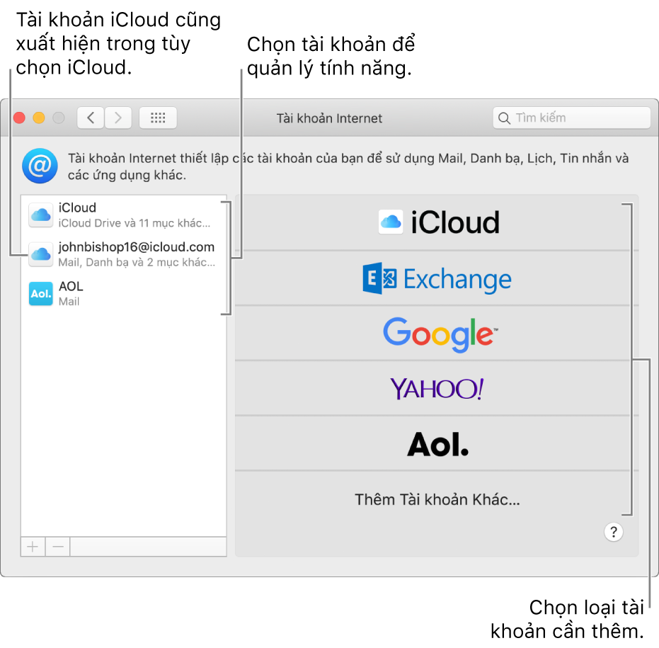 Tùy chọn Tài khoản Internet với các tài khoản được liệt kê ở bên phải và các loại tài khoản khả dụng được liệt kê ở bên trái.