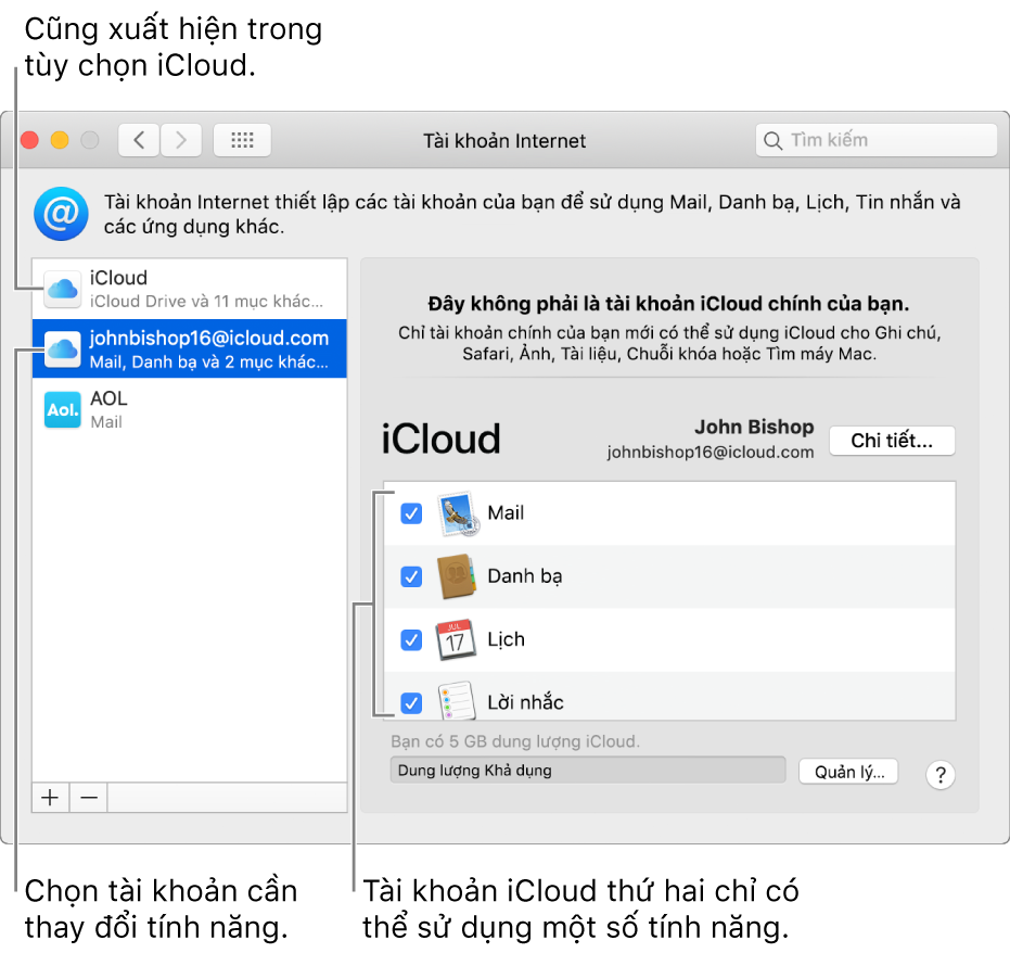 Tùy chọn Tài khoản Internet đang hiển thị hai tài khoản iCloud. Tài khoản thứ hai, được chọn trong danh sách ở bên trái, cho biết tài khoản đó chỉ sẵn có một số tính năng.