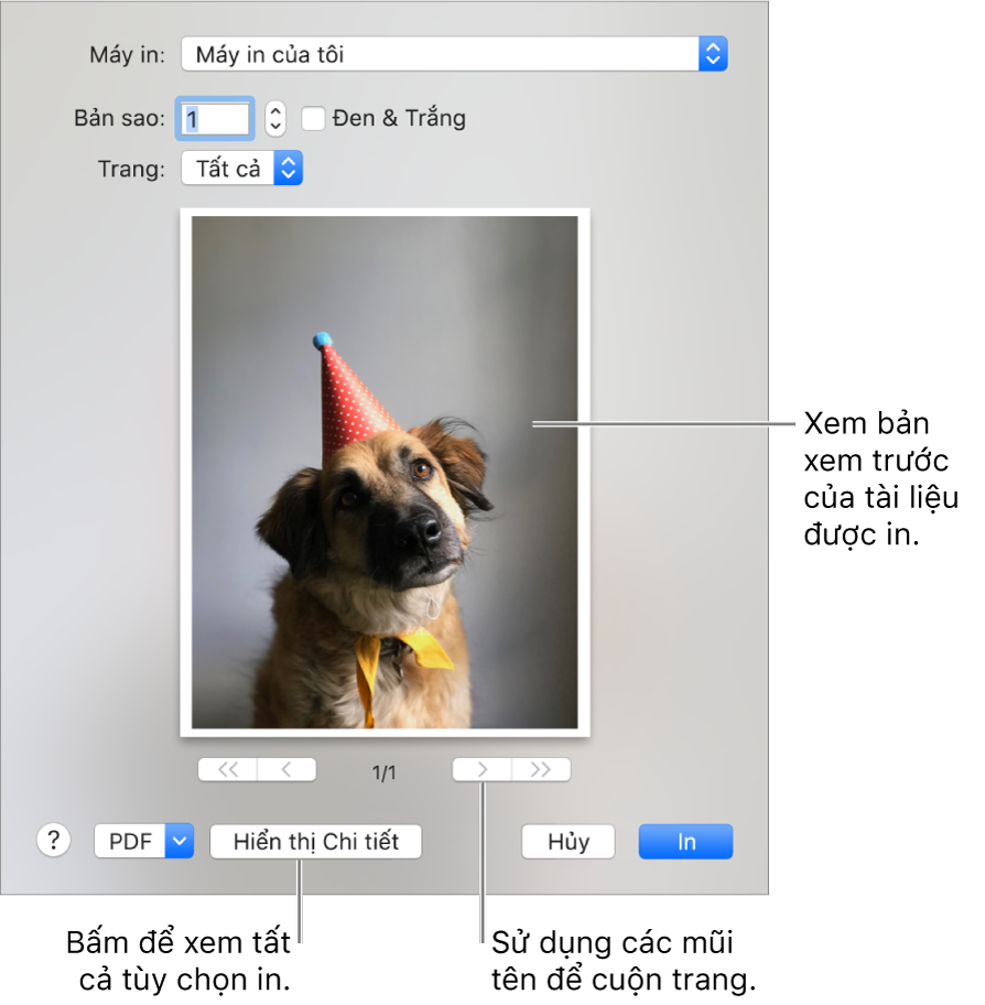 Các biểu tượng trong menu bật lên Máy in biểu thị trạng thái của máy in. Hộp thoại In hiển thị bản xem trước nhỏ cho tác vụ in. Bấm vào nút Hiển thị chi tiết để xem tất cả các tùy chọn in.