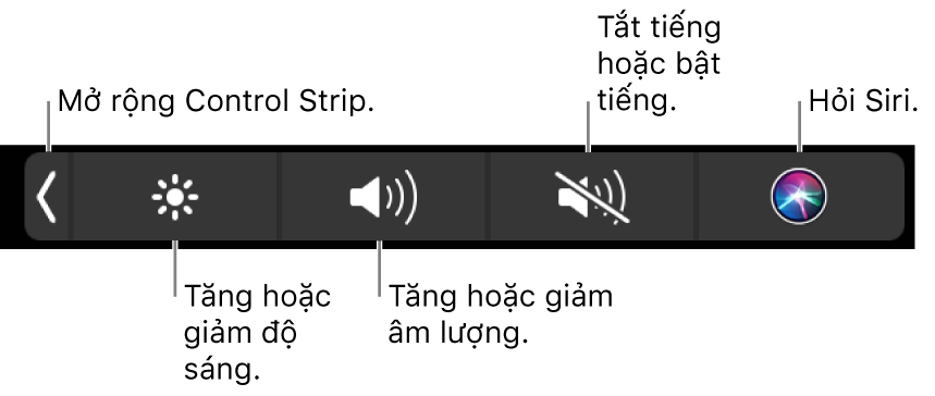 Control Strip được thu gọn bao gồm các nút—từ trái sang phải—để mở rộng Control Strip, tăng hoặc giảm độ sáng màn hình và âm lượng, tắt tiếng hoặc bật tiếng và hỏi Siri.